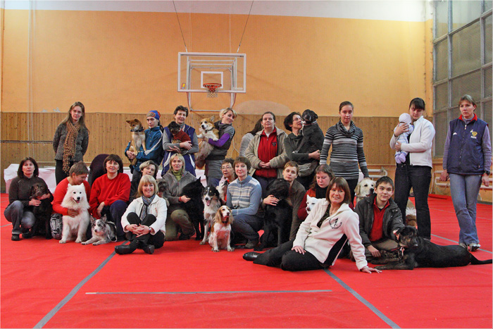 Участники семинара по танцам с собаками