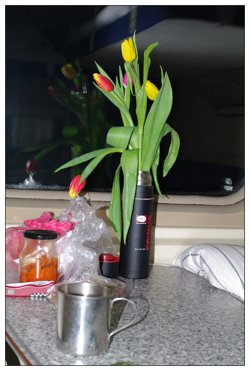 В это восьмое марта мне подарили тюльпаны через полчаса 