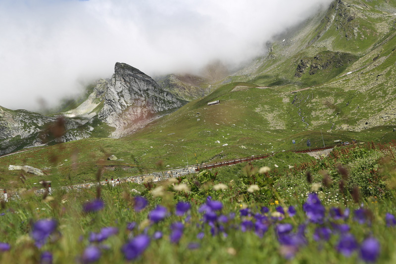 14 альпийских перевалов (лето 2014)